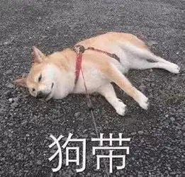 长沙至珠海高铁下月开通4小时直达,还有这么多好吃好玩的