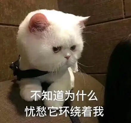 表情包分享更新一波