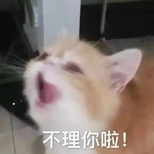 不理你啦丨第445期喵表情包