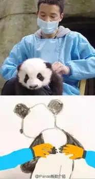 单身太久是什么体验