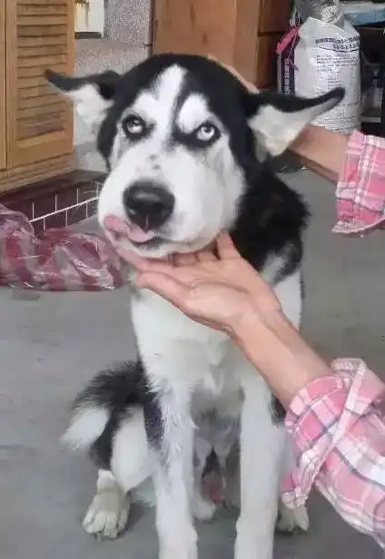 测试一个超长简介的文章