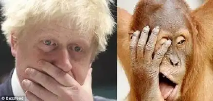 英报恶搞伦敦市长称其动作表情极像猩猩