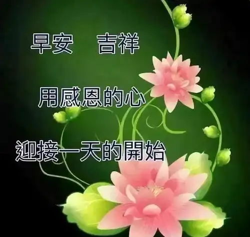 周三早上好中老年表情包,话不在多,贴心最真送给最在乎的人