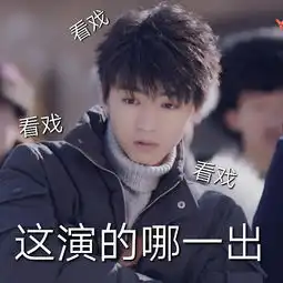 凯猫咪表情包来袭,是粉丝顶配版快乐源泉