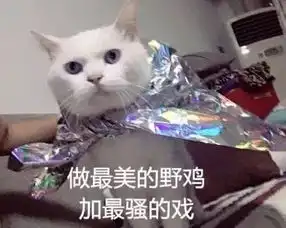 至尊吸猫场所,被彻底的吸引了