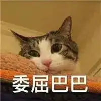 十月日记数月跟拍,发现一位大咖身怀二胎
