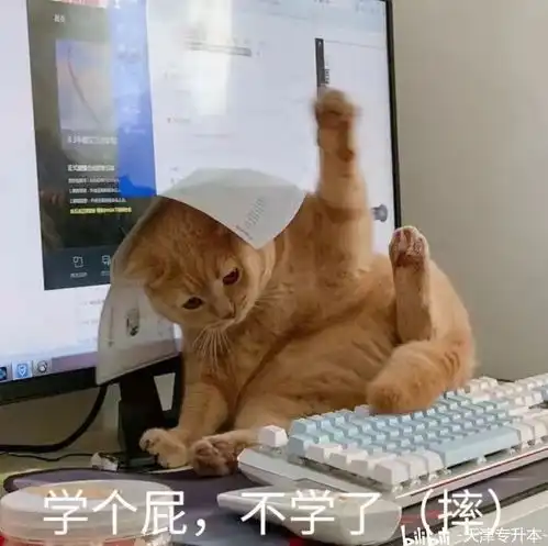 专升本英语很差,用百词斩背单词也没有效果,怎么学英语啊