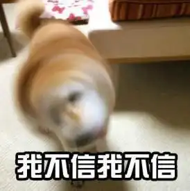 这几对同台吃瓜群众最爱看