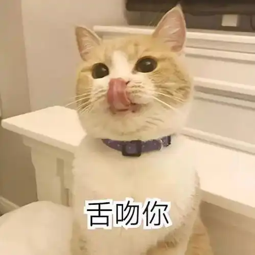喜欢猫的进来下,毒哥有悄悄话对你说