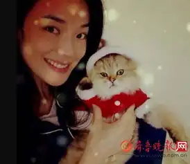 高圆圆陈乔恩杨幂张馨予林心如舒淇,原来女神都是猫咪控
