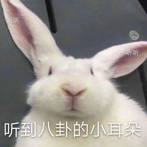 你们对老秦,秦霄贤印象怎么样