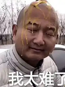 2019法考吐槽大会我太难了......