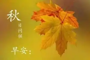 早安问候语图片早上好问候语表情短信清晨问候大全搞笑大小王