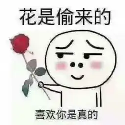 心妹视频直播全集心妹资料大全yy官方