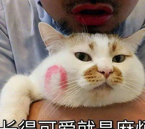 搞笑段子我再也不和你天下第一最最好了楼主