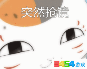 夏目友人帐猫咪老师突然搞事情表情图喜欢拿图
