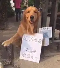 测试一个超长简介的文章
