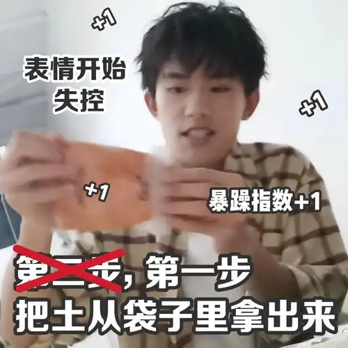 饭制易烊千玺表情包连续剧鸵鸟是怎样练成的