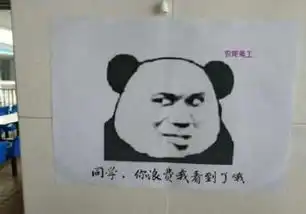 一哲子兮的微博微博