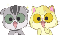 木木猫qq表情,会动的黄色猫猫图片