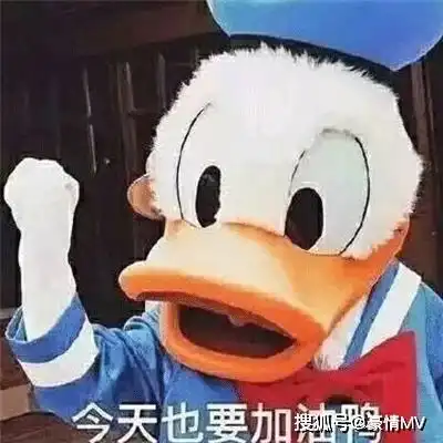 四六级必过搞笑表情图片2021四六级高分表情包大全