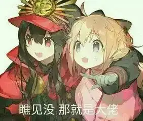 科研特辑之仰望高端玩家