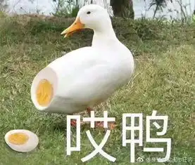 ins搞笑表情包种鸡