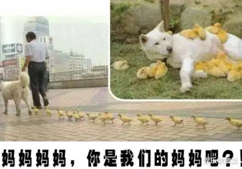 姑娘这么霸气的喝酒,会不会找不到男朋友啊,哈哈