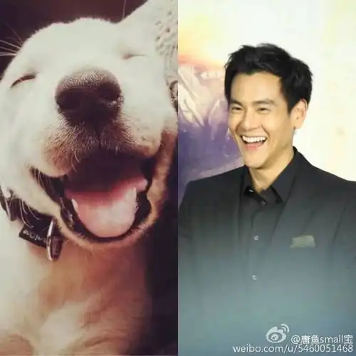 余文乐喜当爹后,彭于晏的评论区却沦为灾难战场粉丝太能搞事