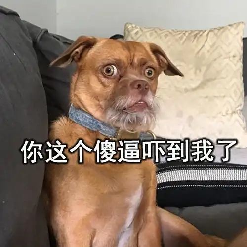 搞笑表情包一只与权利的游戏中小恶魔撞脸的狗狗,要取代了小恶魔了