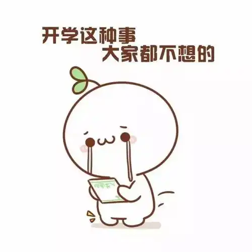 新学期开学新装修的这些学校投入使用,新教材孩子适应吗