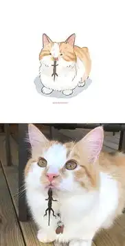 表情包已做好,来见识下互联网热传的30只搞笑猫咪