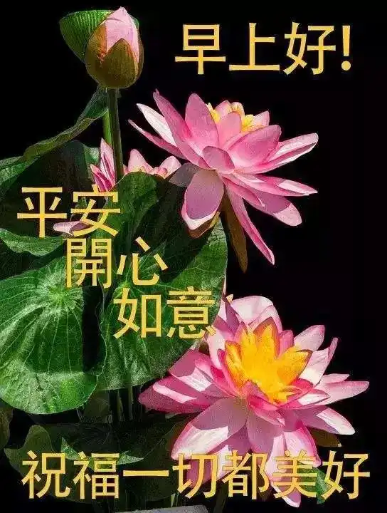 头条问候早上好漂亮图片早上好祝福语表情包