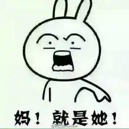 请问这些搞笑表情在那可以找到和下载