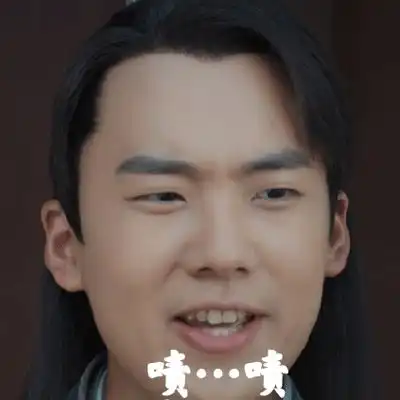 赘婿搞笑表情包,太好玩了