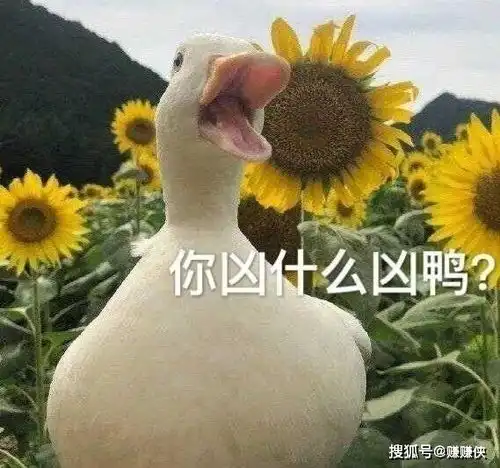 搞笑表情包图片一组莫名其妙表情包图片