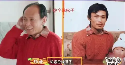 原来幽默细胞也遗传杨迪爸爸戴假发片甩头,露出秃头太搞笑