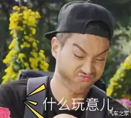 购置税减半听听购车者们怎么说!_苏州和奥奥迪新闻资讯-汽车之家