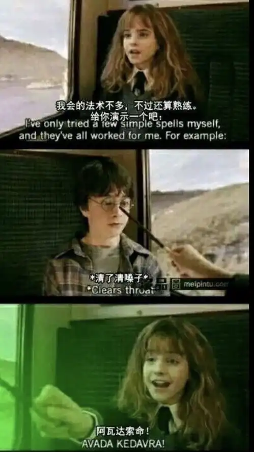 当哈利波特全员看到自己的表情包时
