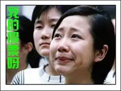 爆涨的牛市炒股票超搞笑qq表情全集