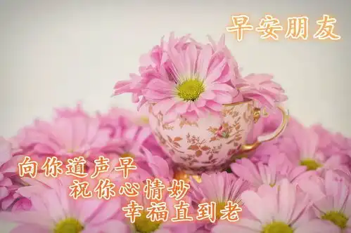 每日清晨最新祝福语发朋友圈的早晨好温馨表情句子