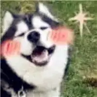 测试一个超长简介的文章