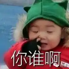 雨天不想开婚车,杭州这一家子直接骑马抬轿子结婚网友你等着,我王老虎要来抢亲了
