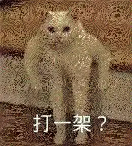 这些爆笑表情,能让我体会到虐哭损友气炸男朋友的爽感