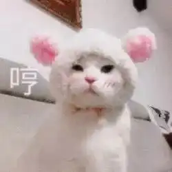 要问请假哪家强还要数偶们用杭州话滴厉害