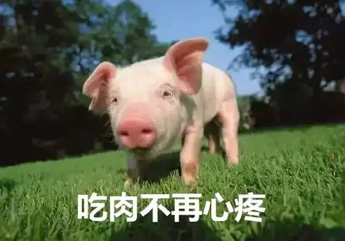 贺州分批投放储备冻猪肉,这回吃肉不心疼