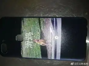 善良的姑娘是不能做这样的事儿的