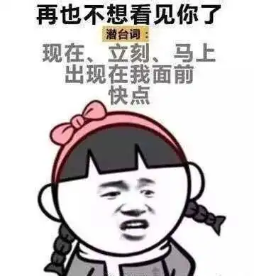 今日神图全国老婆通用语录
