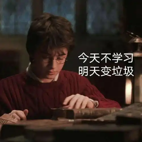 哈利波特表情包今天不学习明天变垃圾