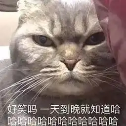 手滑误发造成的尴尬,想撤回但是按了删除............